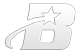 BrightStar Investigations BrightStar Investigations